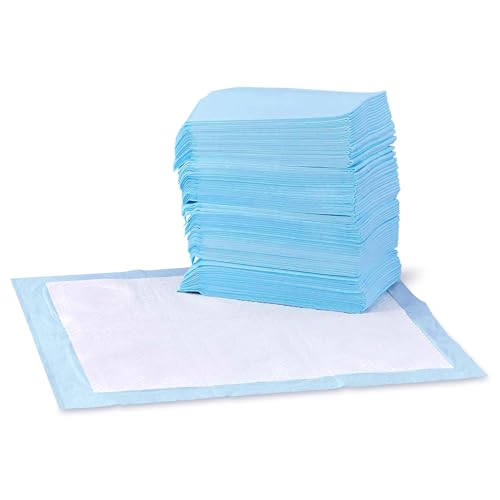 Basics Dog and Puppy Pee Pads for Potty Training - Pack of 100