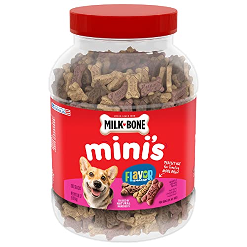 Milk-Bone Mini's Flavor Snacks Dog Treats, 36 Oz