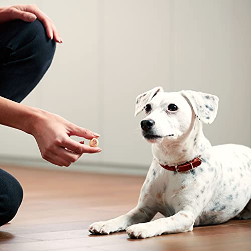 Milk-Bone MaroSnacks Dog Treats, Beef, 40 Ounce - Real Bone Marrow Center, Crunchy Shell