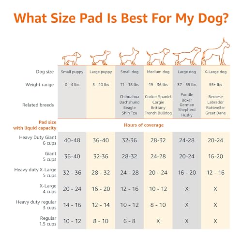 Basics Dog and Puppy Pee Pads for Potty Training - Pack of 100