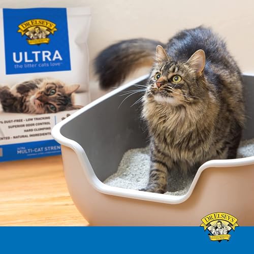 Dr. Elsey’s Premium Clumping Cat Litter - Ultra - 99.9% Dust-Free