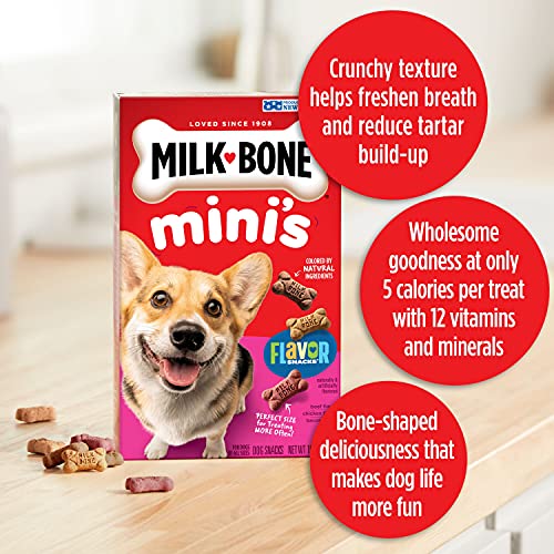 Milk-Bone Mini's Flavor Snacks Dog Treats, 36 Oz