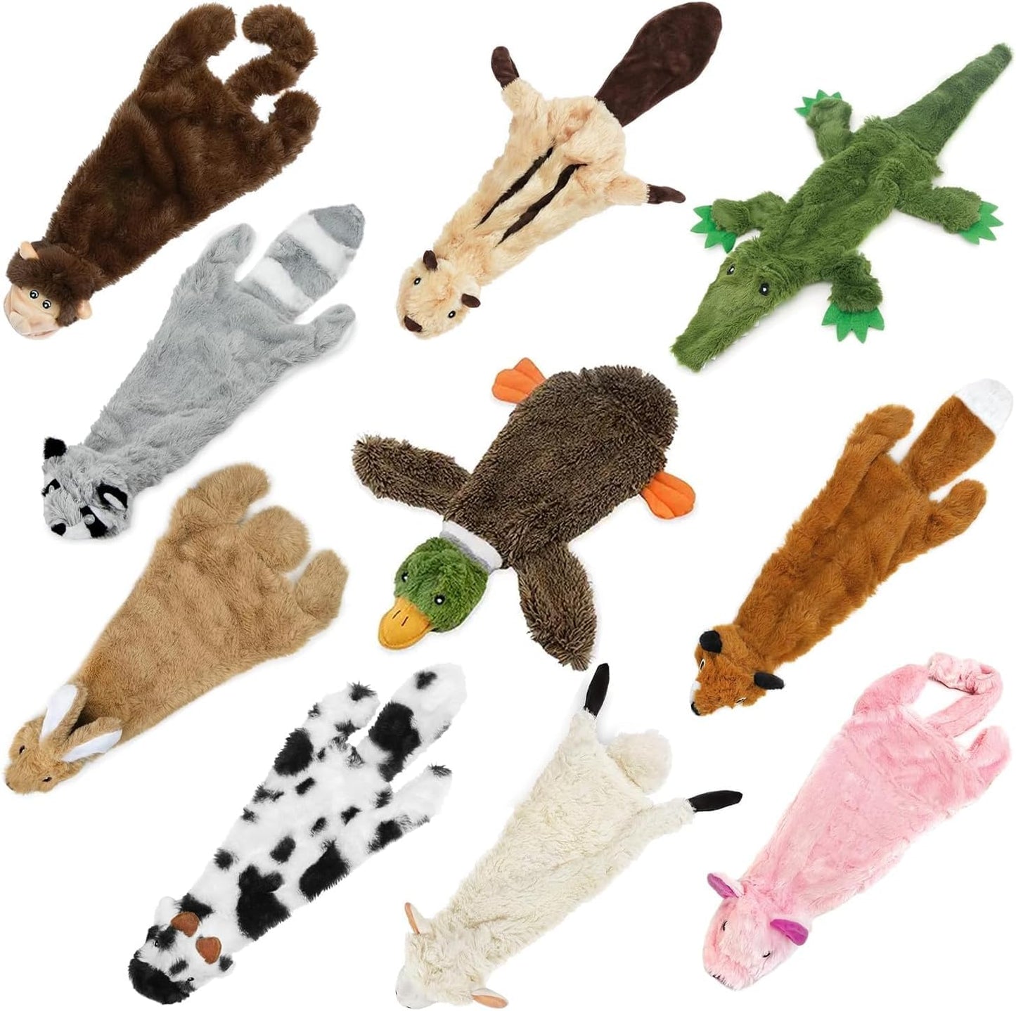 2-in-1 Fun Skin Stuffless Mystery Box Dog Squeaky