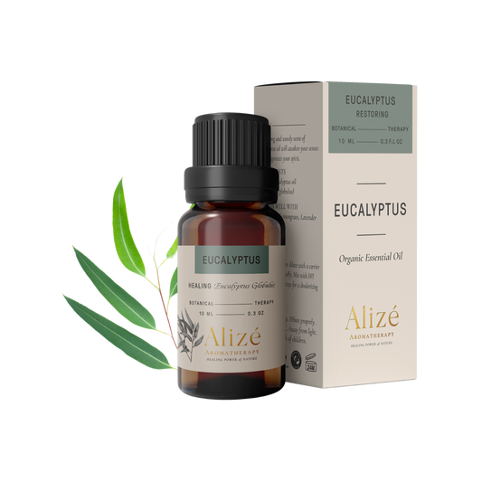 Organic Eucalyptus Essential Oil - 10ml